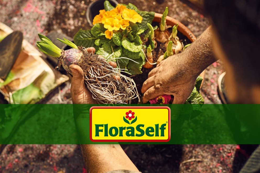 FloraSelf - Marca pentru grădină