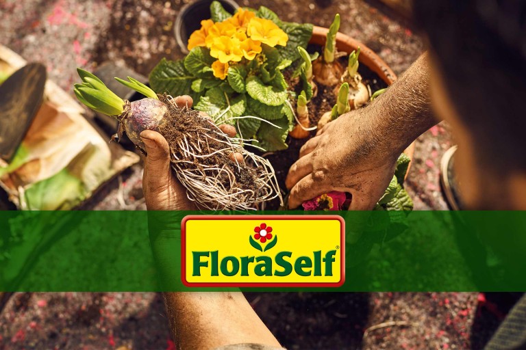 FloraSelf marca 