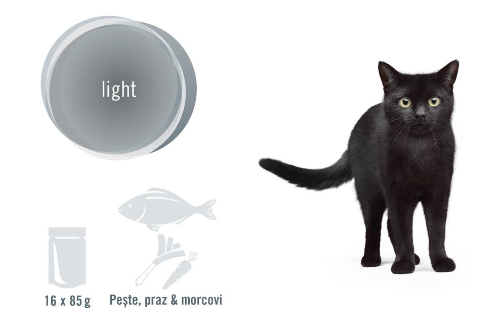 
			Light Cat FINEVO RO

		