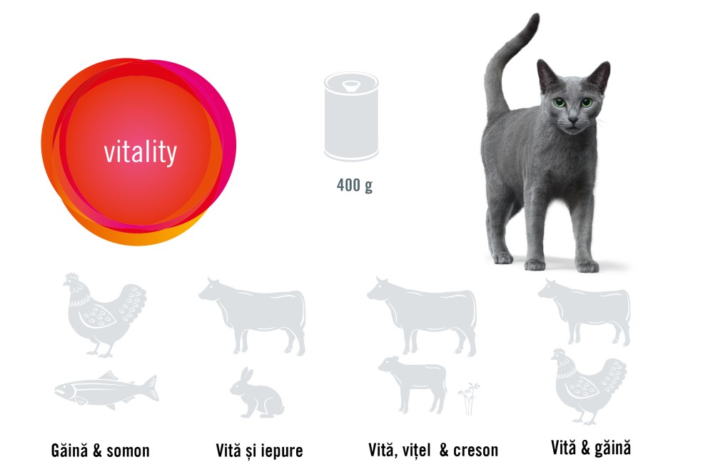 
			Vitality Cat FINEVO RO

		