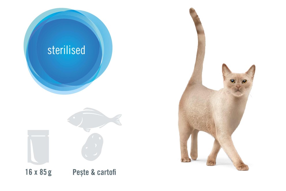 
			Sterilised Cat FINEVO RO

		