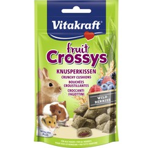 Gustare pentru rozătoare, Vitakraft Fruit Crossys, 45 g-thumb-0