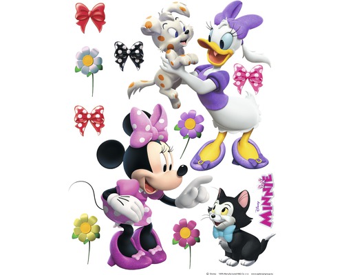 Sticker perete Minnie&Daisy 65x85 cm