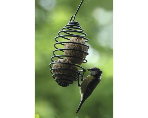 Hrănitoare pentru păsări, spirală