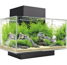 Set acvariu sticlă Fluval Edge 2.0, 23 l, cu iluminare LED, filtru, negru-thumb-0