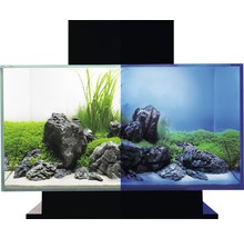Set acvariu sticlă Fluval Edge 2.0, 23 l, cu iluminare LED, filtru, negru-thumb-2