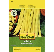 Semințe de legume FloraSelf, fasole „Voletta”-thumb-0