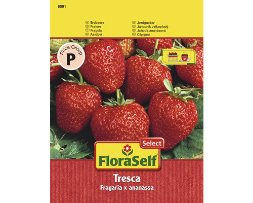 FloraSelf Select bandă cu semințe de căpșuni 'Fresca'-0