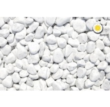 Marmură rotunjită, granulatie 25-40 mm, 25 kg, alb-thumb-0