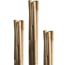 Arac din bambus FloraSelf h 120 cm Ø 8 mm maro 10 buc-thumb-0
