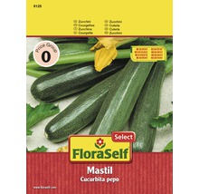 FloraSelf semințe de dovlecei verzi-thumb-0