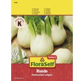 FloraSelf semințe de fenicul Rondo