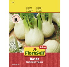 FloraSelf semințe de fenicul Rondo-thumb-0