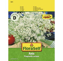 Semințe de plante aromatice FloraSelf, anason-thumb-0