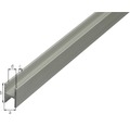 Profil H aluminiu 13,5x22x1,5x10mm 2m