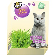 Lolo iarbă pentru pisici-thumb-0