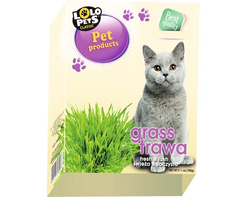 Lolo iarbă pentru pisici-0