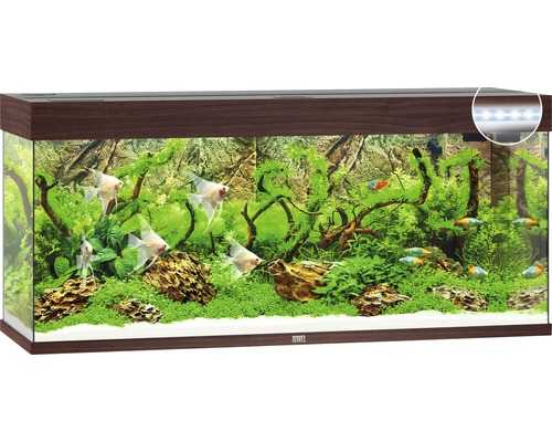 Acvariul JUWEL Rio 240 cu iluminare cu LED, pompă, filtru, încălzitor, fără dulap inferior, lemn de culoare închisă