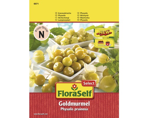 Physalis, semințe de legume Physalis FloraSelf Select pruinosa 'Goldmurmel'