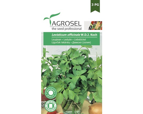 Semințe de leuștean Agrosel PG3