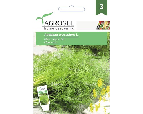 Semințe de mărar Agrosel Agromar PG3