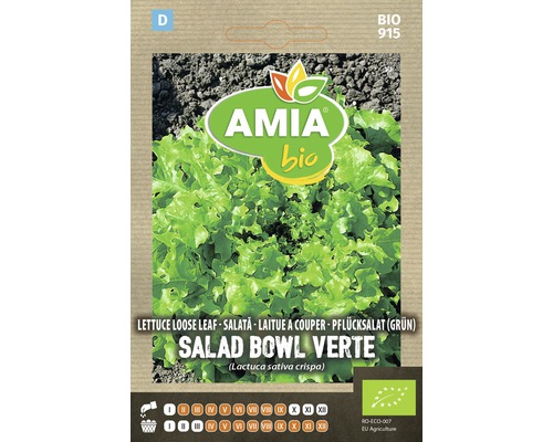 Semințe BIO de salată verde