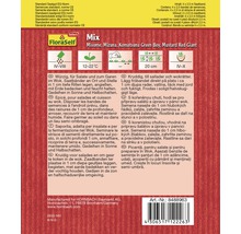 FloraSelf bandă cu semințe de salate asiatice Green Boy-thumb-1