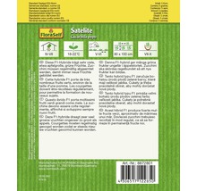 FloraSelf semințe de dovlecei verzi" Satelite"-thumb-1
