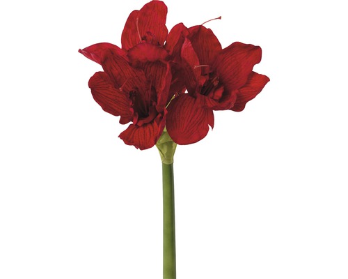 Floare artificială Amaryllis, 66 cm, roșu-0