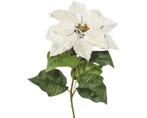 Floare artificială, Poinsettia, 70 cm, alb-0