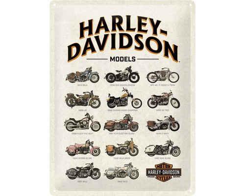 Tablou metalic decorativ Harley Models 30x40 cm-0