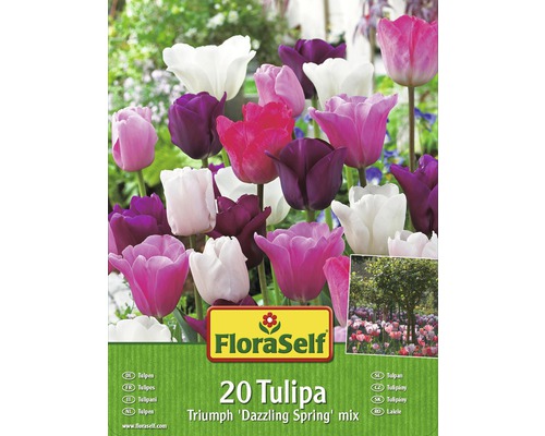 FloraSelf Amestec Bulbi Lalele 'Dazzling Spring', 20 buc.-0