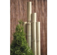 Trunchi decorativ bambus Ø 7-8 cm L 200 cm maro-thumb-3