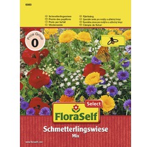 Floraself Select flori care atrag fluturii-thumb-0
