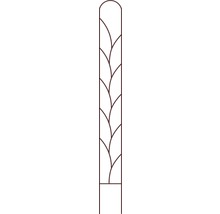 Spalier Clematis cu linii H 150 cm maro-thumb-0