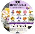 Set 7 plante de flori comestibile