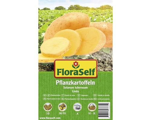 FloraSelf sămânță cartof 'Linda', 10 buc.