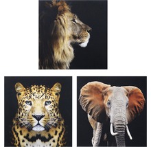 Set 3 tablouri canvas Animals 3x 50x50 cm-thumb-0