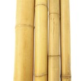 Trunchi decorativ bambus Ø 7-8 cm L 200 cm maro