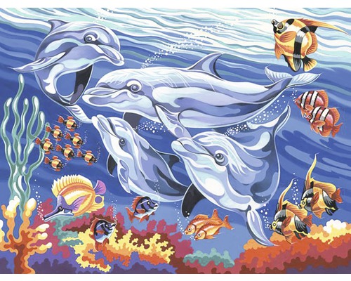 Pictură pe numere Reeves Dolphins 30x40 cm-0
