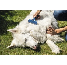FURminator perie pentru câini L păr lung-thumb-9