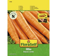FloraSelf semințe de morcovi 'Jitka'-thumb-0