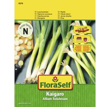 FloraSelf semințe de ceapă de primăvară Kaigaro-thumb-0