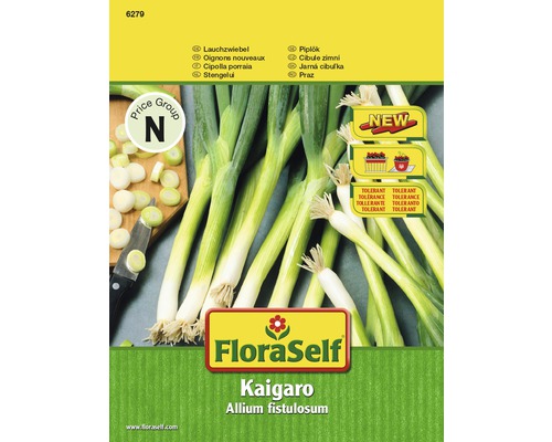 FloraSelf semințe de ceapă de primăvară Kaigaro-0