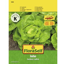 FloraSelf semințe de salată 'John'-thumb-0