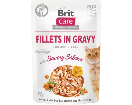 Hrană umedă pentru pisici Brit Care plic file somon în sos 85 g-0
