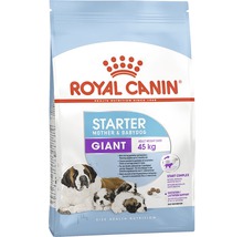 Hrană uscată pentru câini Royal Canin CC Giant Starter Mother & Babydog, 15 kg-thumb-0