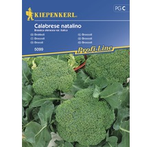 Semințe de legume Kiepenkerl, broccoli Calabrese Natalino-thumb-0