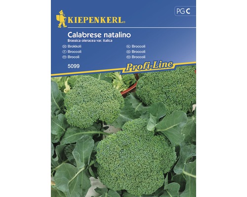 Semințe de legume Kiepenkerl, broccoli Calabrese Natalino-0