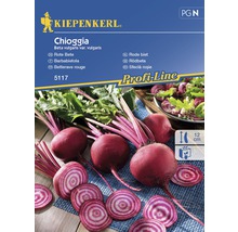 Semințe de legume Kiepenkerl, sfeclă roșie Chioggia-thumb-0